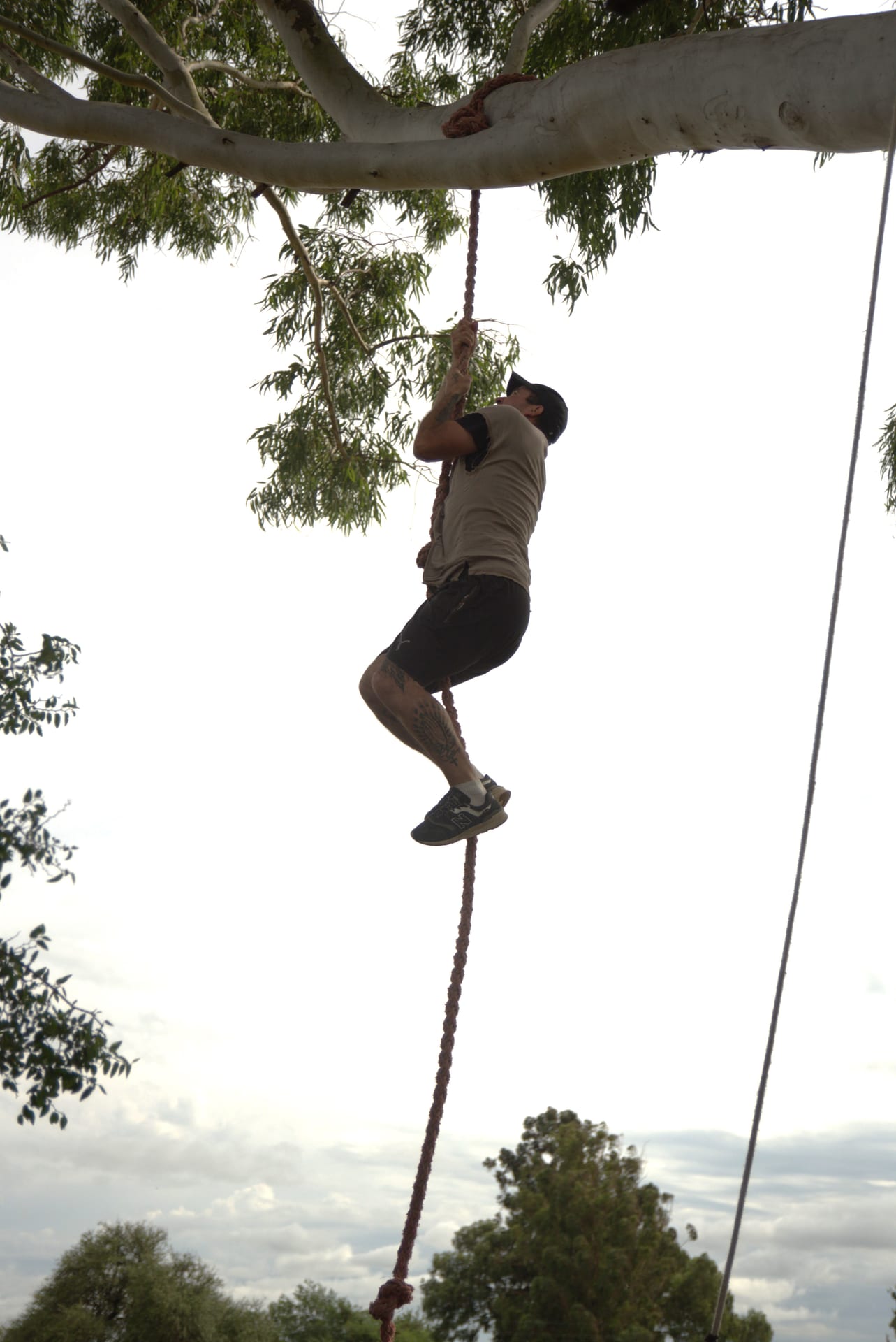 trepada de arbol